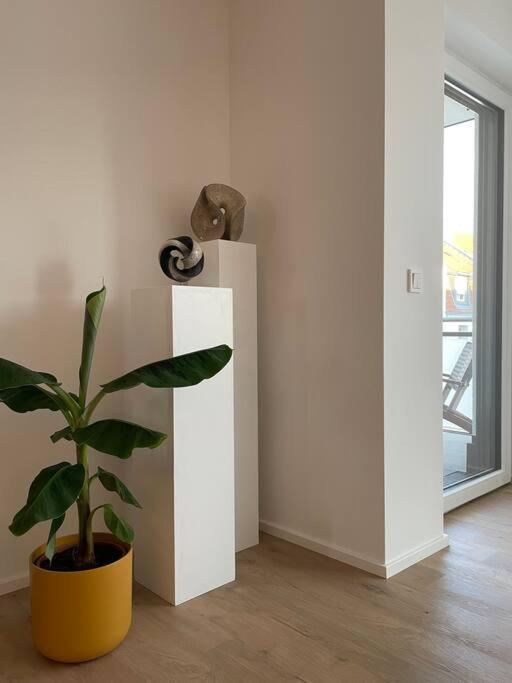 Alma - Art Luxus Modern Ambiente